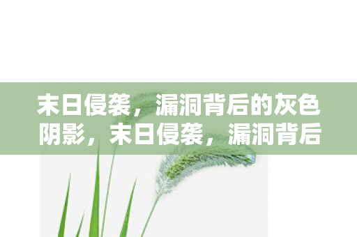 末日侵袭,漏洞背后的灰色阴影,末日侵袭,漏洞背后的灰色阴影 末日侵袭,漏洞背后的灰色阴影,末日侵袭,漏洞背后的灰色阴影