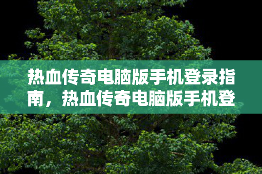 热血传奇电脑版手机登录全攻略图片