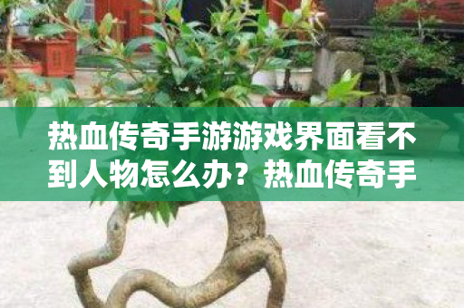 热血传奇手游游戏界面看不到人物怎么办?热血传奇手游游戏界面看不到人物解决方法 热血传奇手游游戏界面看不到人物怎么办?热血传奇手游游戏界面看不到人物解决方法