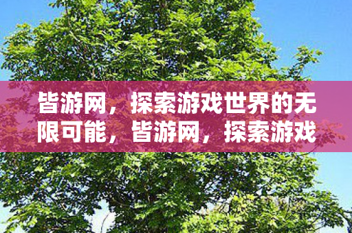 皆游网，探索游戏世界的无限可能，皆游网，探索游戏世界的无限可能