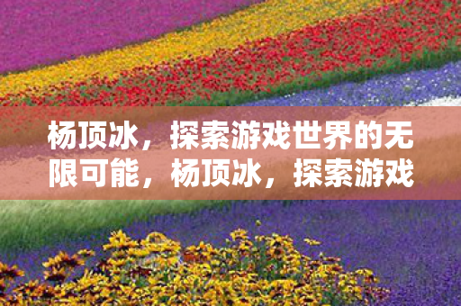杨顶冰，探索游戏世界的无限可能，杨顶冰，探索游戏世界的无限可能