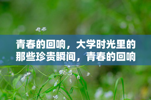青春的回响，大学时光里的那些珍贵瞬间，青春的回响，大学时光里的珍贵瞬间