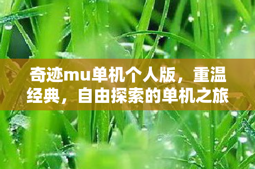 奇迹mu单机个人版，重温经典，自由探索的单机之旅，奇迹mu单机个人版，重温经典，开启自由探索之旅