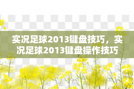实况足球2013键盘技巧，实况足球2013键盘操作技巧全解析