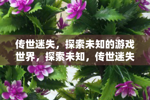 传世迷失，探索未知的游戏世界，探索未知，传世迷失的游戏世界