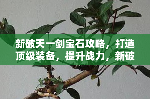 新破天一剑宝石攻略图片