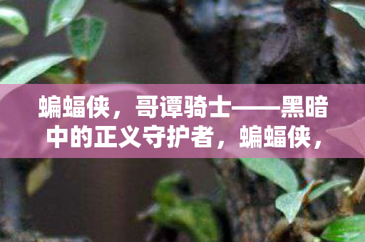 蝙蝠侠,哥谭骑士——黑暗中的正义守护者,蝙蝠侠,哥谭骑士——黑暗中的正义守护者 蝙蝠侠,哥谭骑士——黑暗中的正义守护者,蝙蝠侠,哥谭骑士——黑暗中的正义守护者
