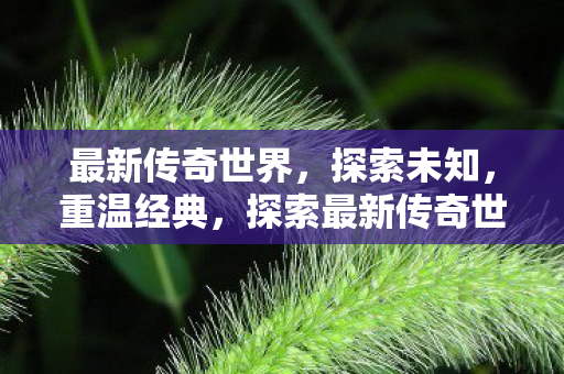 最新传奇世界,探索未知,重温经典,探索最新传奇世界,重温经典,发现未知奇迹 最新传奇世界,探索未知,重温经典,探索最新传奇世界,重温经典,发现未知奇迹
