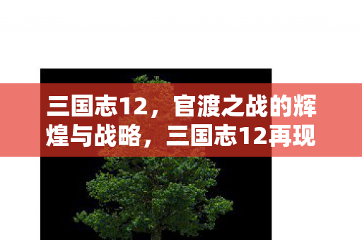 三国志12，官渡之战的辉煌与战略，三国志12再现官渡之战，战略与辉煌的较量