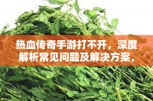 热血传奇手游打不开,深度解析常见问题及解决方案,热血传奇手游打不开怎么办?深度解析常见问题及解决方案 热血传奇手游打不开,深度解析常见问题及解决方案,热血传奇手游打不开怎么办?深度解析常见问题及解决方案