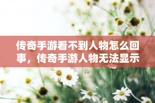 传奇手游看不到人物怎么回事,传奇手游人物无法显示的解决方法 传奇手游看不到人物怎么回事,传奇手游人物无法显示的解决方法