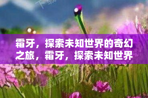 霜牙，探索未知世界的奇幻之旅，霜牙，探索未知世界的奇幻之旅
