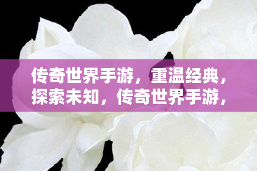 传奇世界手游图片