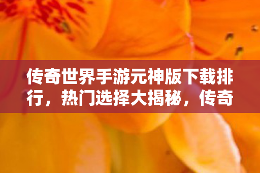 传奇世界手游元神版下载排行图片