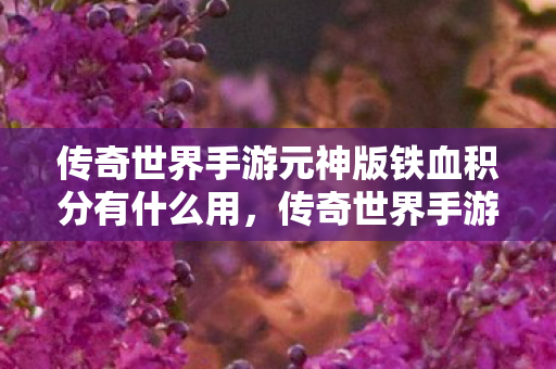 传奇世界手游元神版铁血积分有什么用图片