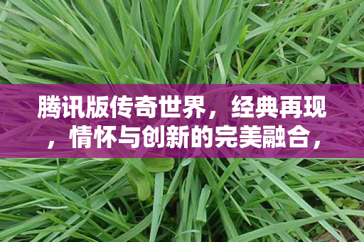 腾讯版传奇世界,经典再现,情怀与创新的完美融合,腾讯版传奇世界,经典再现,情怀与创新完美融合 腾讯版传奇世界,经典再现,情怀与创新的完美融合,腾讯版传奇世界,经典再现,情怀与创新完美融合
