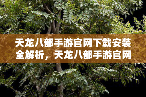 天龙八部手游官网下载安装全解析,天龙八部手游官网下载安装全攻略 天龙八部手游官网下载安装全解析,天龙八部手游官网下载安装全攻略