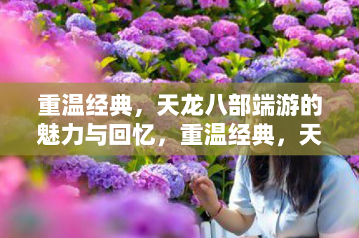重温经典,天龙八部端游的魅力与回忆,重温经典,天龙八部端游的魅力与回忆 重温经典,天龙八部端游的魅力与回忆,重温经典,天龙八部端游的魅力与回忆