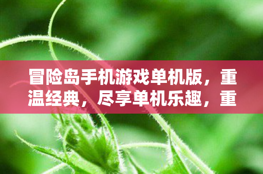 冒险岛手机游戏单机版,重温经典,尽享单机乐趣,重温经典冒险岛,手机游戏单机版尽享单机乐趣 冒险岛手机游戏单机版,重温经典,尽享单机乐趣,重温经典冒险岛,手机游戏单机版尽享单机乐趣