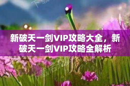 新破天一剑VIP攻略大全,新破天一剑VIP攻略全解析 新破天一剑VIP攻略大全,新破天一剑VIP攻略全解析