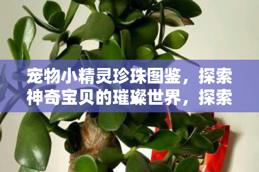 宠物小精灵珍珠图鉴,探索神奇宝贝的璀璨世界,探索宠物小精灵的璀璨世界,珍珠图鉴全解析 宠物小精灵珍珠图鉴,探索神奇宝贝的璀璨世界,探索宠物小精灵的璀璨世界,珍珠图鉴全解析
