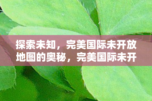 完美国际未开放地图的奥秘图片