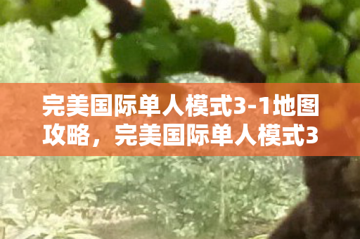 完美国际单人模式3-1地图攻略，完美国际单人模式3-1地图攻略，轻松通关技巧