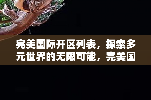 完美国际开区列表,探索多元世界的无限可能,完美国际开区列表,探索多元世界的无限可能 完美国际开区列表,探索多元世界的无限可能,完美国际开区列表,探索多元世界的无限可能
