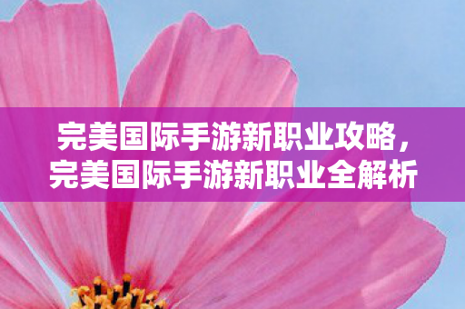 完美国际手游新职业全解析图片
