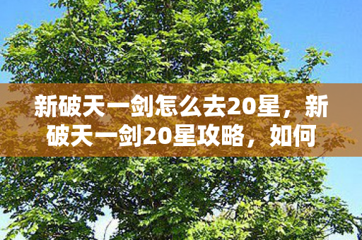 新破天一剑怎么去20星图片