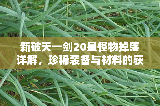 新破天一剑20星怪物掉落全解析图片