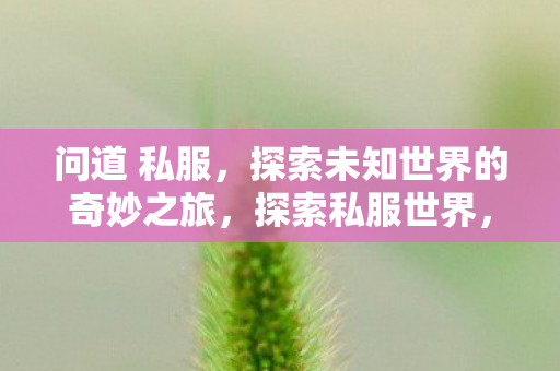 问道 私服,探索未知世界的奇妙之旅,探索私服世界,问道的奇妙冒险之旅 问道 私服,探索未知世界的奇妙之旅,探索私服世界,问道的奇妙冒险之旅