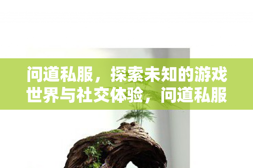 探索未知的游戏世界与社交体验图片