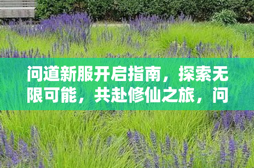 问道新服开启指南图片