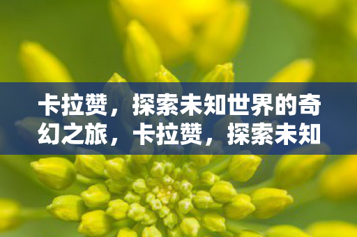 卡拉赞，探索未知世界的奇幻之旅，卡拉赞，探索未知世界的奇幻之旅