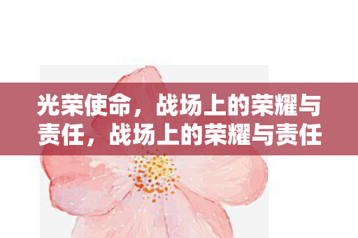 战场上的荣耀与责任图片