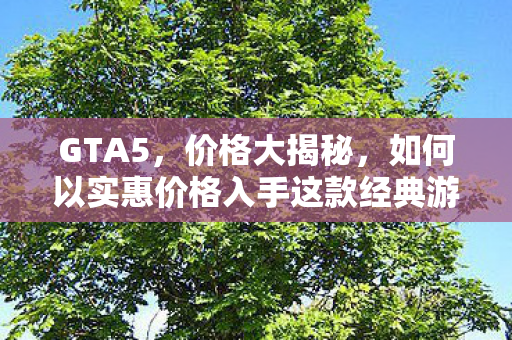 GTA5,价格大揭秘,如何以实惠价格入手这款经典游戏?如何以实惠价格入手经典游戏GTA5? GTA5,价格大揭秘,如何以实惠价格入手这款经典游戏?如何以实惠价格入手经典游戏GTA5?