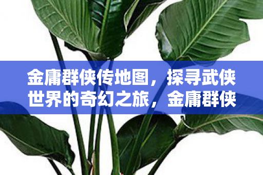 金庸群侠传地图,探寻武侠世界的奇幻之旅,金庸群侠传地图,探寻武侠世界的奇幻之旅 金庸群侠传地图,探寻武侠世界的奇幻之旅,金庸群侠传地图,探寻武侠世界的奇幻之旅