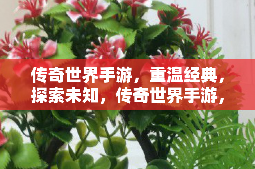 传奇世界手游图片