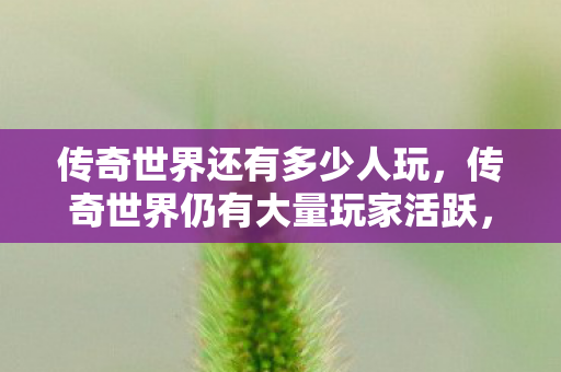 传奇世界仍有大量玩家活跃图片