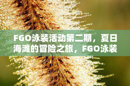 FGO泳装活动第二期，夏日海滩的冒险之旅，FGO泳装活动第二期，夏日海滩冒险之旅开启