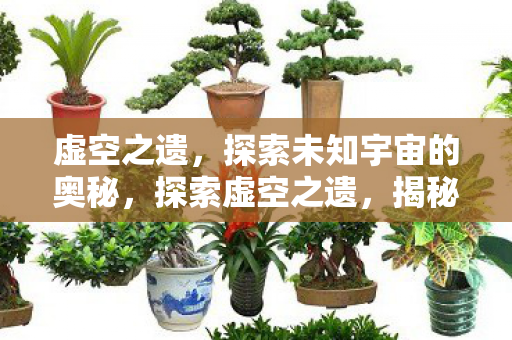 虚空之遗,探索未知宇宙的奥秘,探索虚空之遗,揭秘未知宇宙的奥秘 虚空之遗,探索未知宇宙的奥秘,探索虚空之遗,揭秘未知宇宙的奥秘