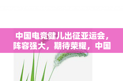 中国电竞健儿出征亚运会，阵容强大，期待荣耀，中国电竞健儿出征亚运会，阵容强大，期待荣耀夺冠