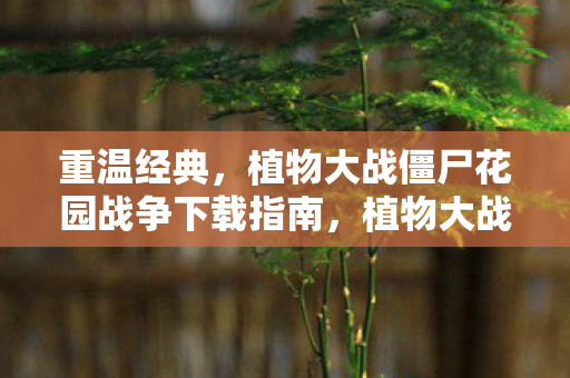 重温经典，植物大战僵尸花园战争下载指南，植物大战僵尸花园战争下载指南，重温经典，开启战斗之旅