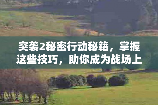 突袭2秘密行动秘籍,掌握这些技巧,助你成为战场上的高手,突袭2,掌握秘密行动秘籍,成为战场高手 突袭2秘密行动秘籍,掌握这些技巧,助你成为战场上的高手,突袭2,掌握秘密行动秘籍,成为战场高手