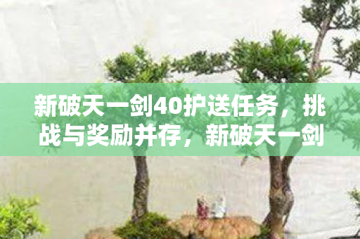 新破天一剑40级护送任务图片