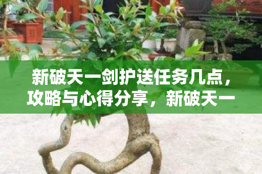 新破天一剑护送任务攻略与心得分享图片