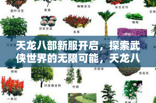 天龙八部新服开启,探索武侠世界的无限可能,天龙八部新服开启,探索武侠世界的无限可能 天龙八部新服开启,探索武侠世界的无限可能,天龙八部新服开启,探索武侠世界的无限可能