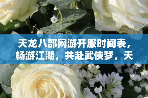 天龙八部网游开服时间表,畅游江湖,共赴武侠梦,天龙八部网游全新服务器开启,畅游江湖,共赴武侠梦 天龙八部网游开服时间表,畅游江湖,共赴武侠梦,天龙八部网游全新服务器开启,畅游江湖,共赴武侠梦