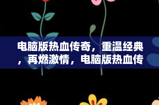 电脑版热血传奇图片